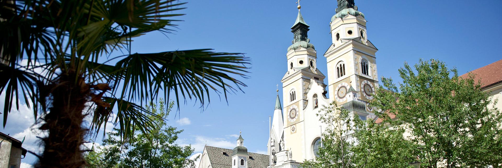 Blick auf die Türme des Brixner Doms, umgeben von Palmen und Bäumen unter klarem, blauem Himmel.