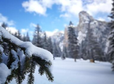 blogbeitrag-schneeschuhwandern-titelbild