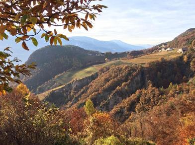 Autumn mountain scenery with vineyards, colorful forests, and scattered houses in golden light.