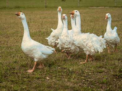 nick-fewings-xorznve6dy0-unsplash