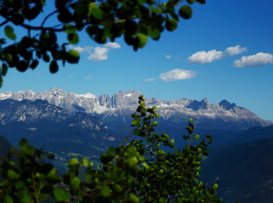 blogbeitrag-wandertipps-bozen-umgebung