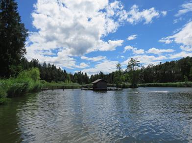 voelser-weiher-1