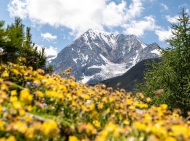 linkbild-blogbeitrag-bergpotraet-ortler