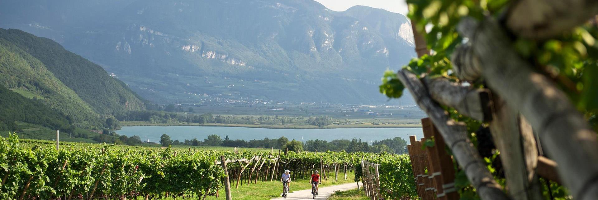 Zwei Radfahrer fahren auf einem Weg durch Weinberge mit Blick auf einen See und umgebende Berge im Hintergrund.