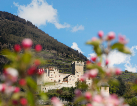 vinschgau-sommer-08