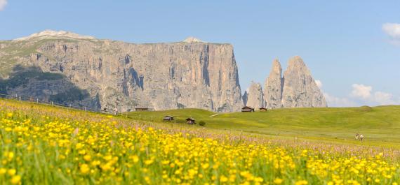 Dolomiten Natur