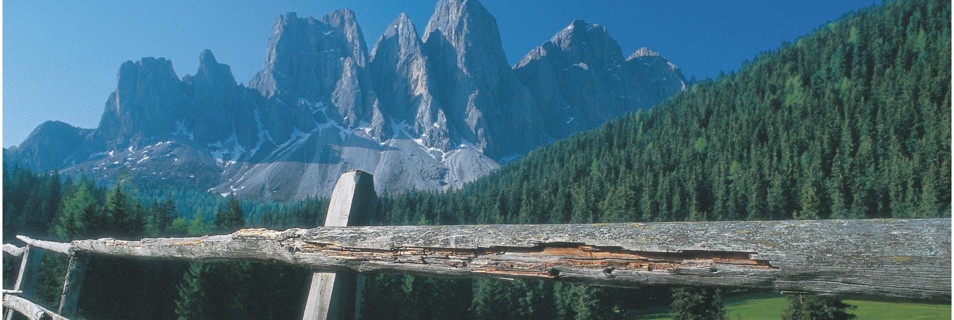 Blick über einen alten Holzzaun auf die beeindruckenden Gipfel der Dolomiten und einen dichten Nadelwald.