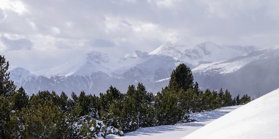 blogbeitrag-slow-winter-titelbild