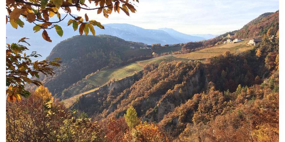 Autumn mountain scenery with vineyards, colorful forests, and scattered houses in golden light.