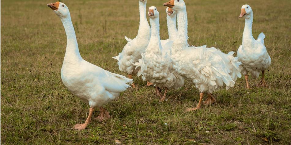 nick-fewings-xorznve6dy0-unsplash