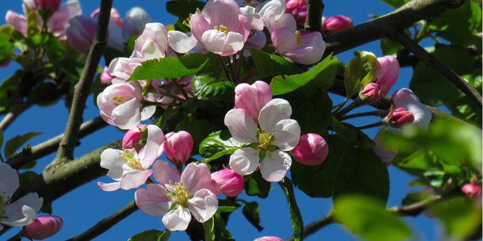 anastasiya-romanova-blljdgjwiek-unsplash