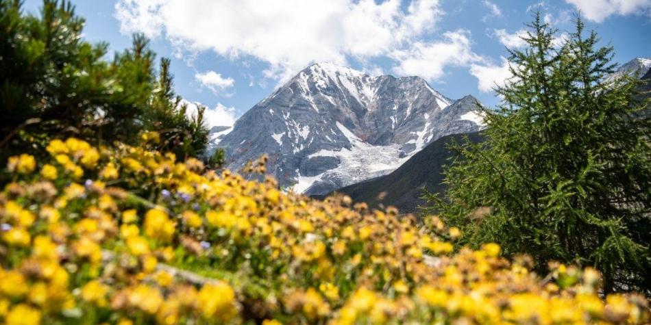 linkbild-blogbeitrag-bergpotraet-ortler