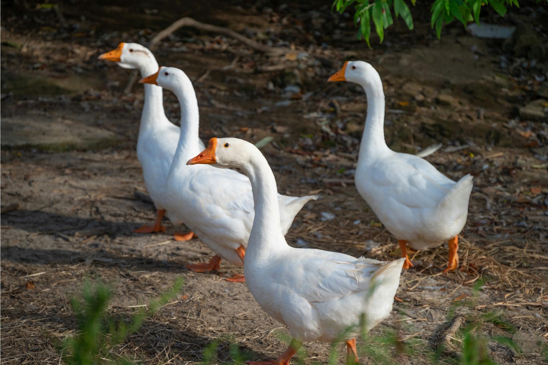 ran-liwen-u3hq-yenmv0-unsplash